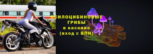 PSILOCYBIN Алексеевка