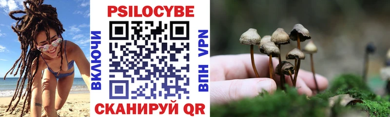 Галлюциногенные грибы GOLDEN TEACHER  Константиновск 